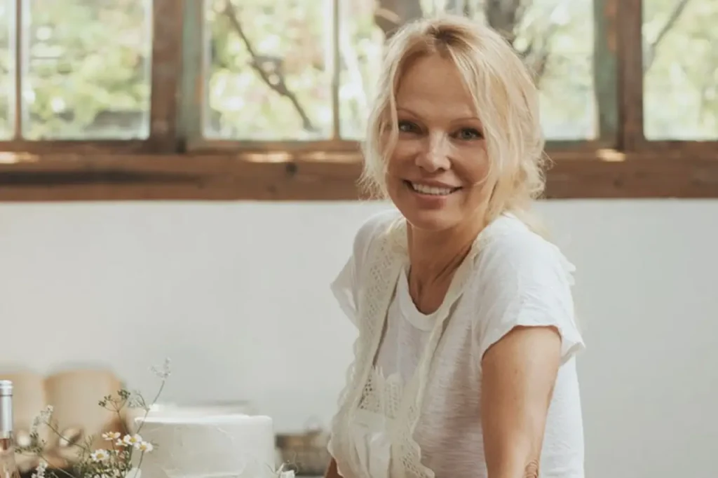 Pamela Anderson career overview